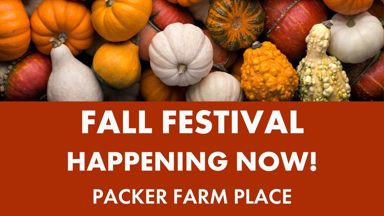 Packer Orchards Farm, Bakery, Jam, Gift Box, Pumpkin Patch